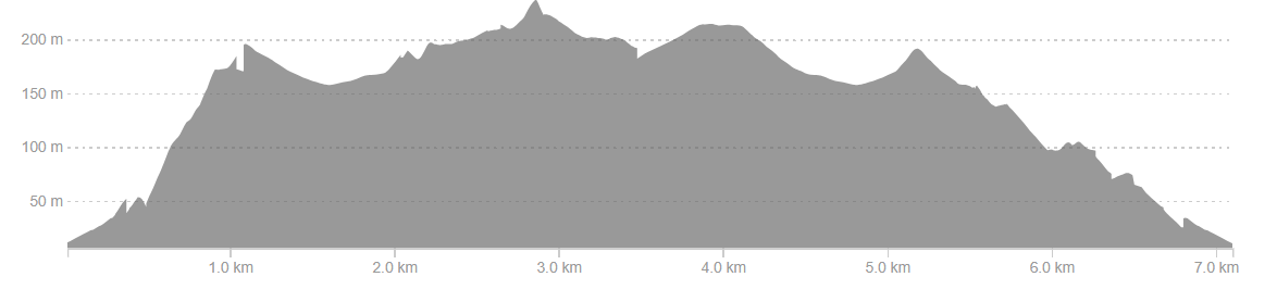 Race Profile Map